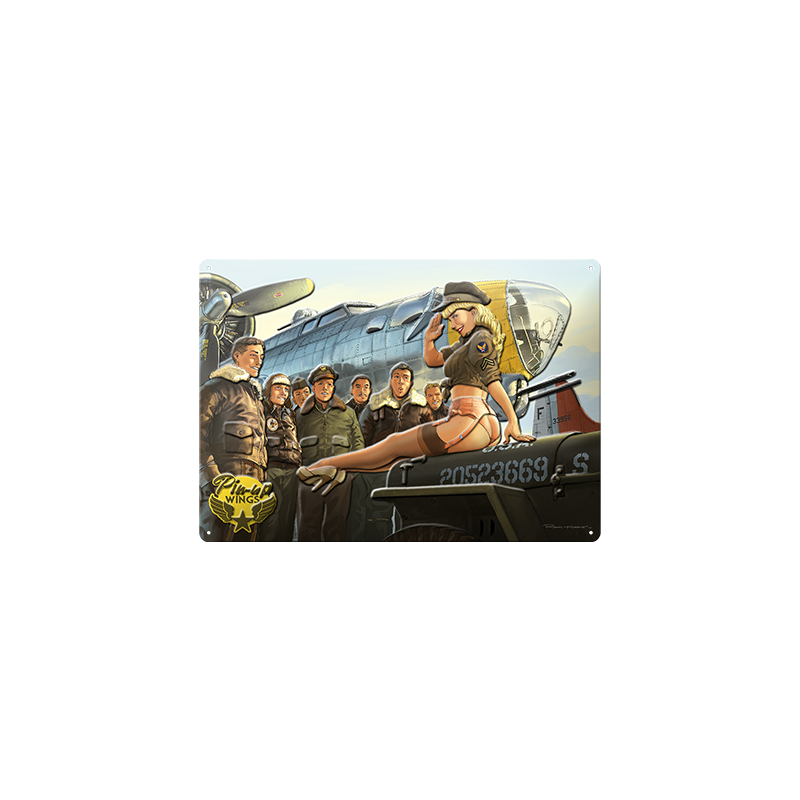 RH_PLA_01 - PLAQUE METALLIQUE - B17