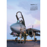 CALENDRIER - ROMAIN HUGAULT TOMCAT 2025