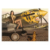 RH115 - P40 Warhawk