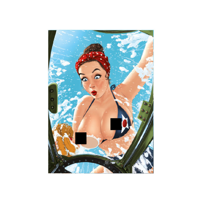 RH165 - P51 - Mustang