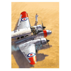 RH265 - Summer Air Show 2025