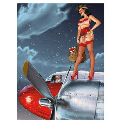 RH247 - Pin-Up