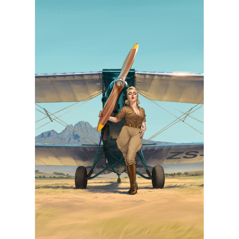 PIN-UP WINGS - TOME 6
