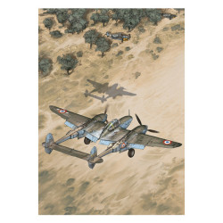 RH003 - De Havilland DH.98...