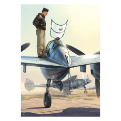 RH023 - Saint Exupéry, P38