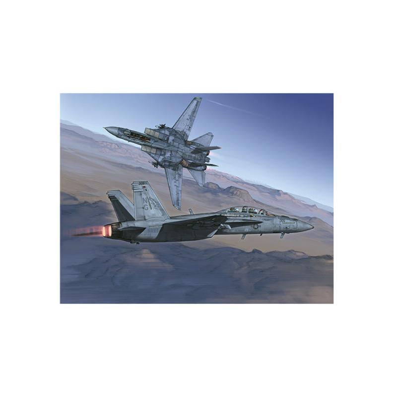 RH068 - Grumman F-14 Tomcat