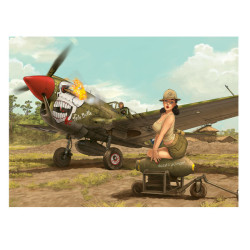 RH130  - P-40N Warhawk