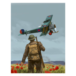 RH336 - Poppy