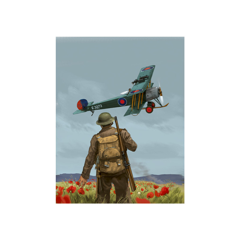 RH336 - Poppy