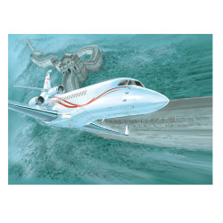 RH307 - jet d'affaires