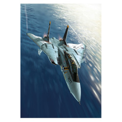 RH236 - Tomcat Collector